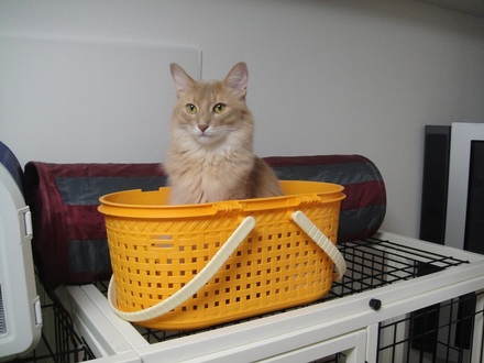 2011092704.jpg