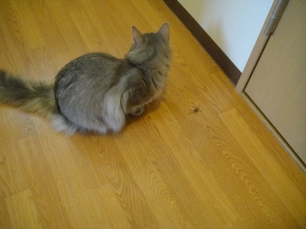 2011092800.jpg