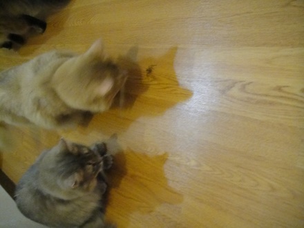 2011092801.jpg