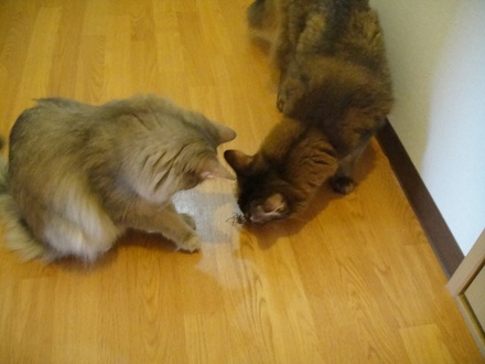 2011092802.jpg