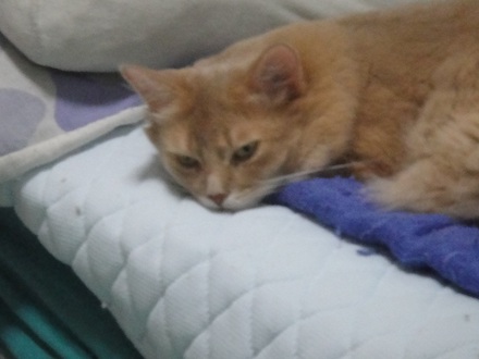 2011100201.jpg