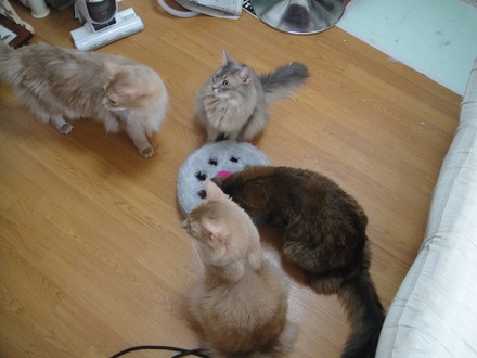 2011100400.jpg