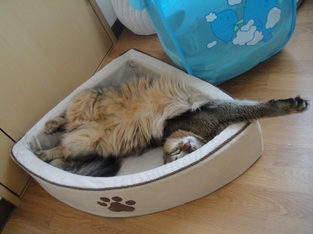 20111013.jpg