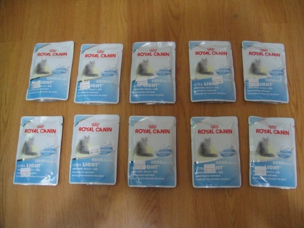 2011101600.jpg