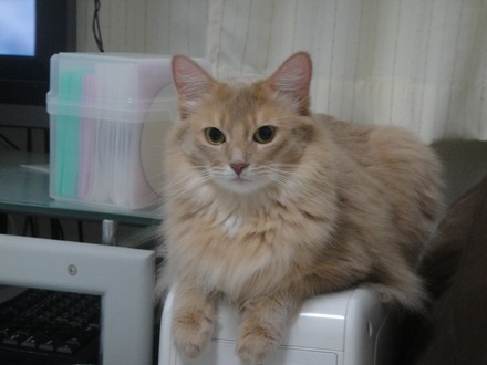 2011101700.jpg