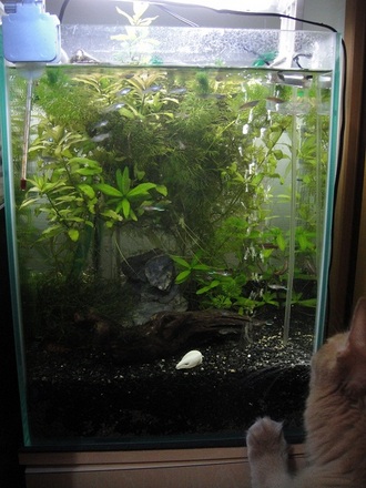 2011102101.jpg