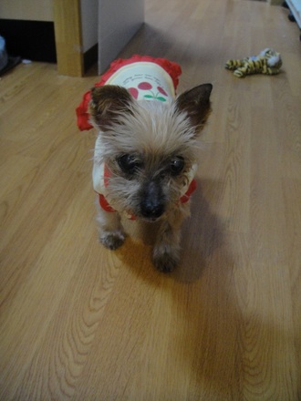2011102401.jpg