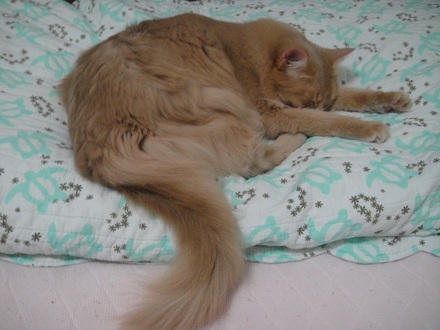 2011102402.jpg