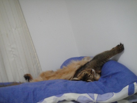20111028.jpg
