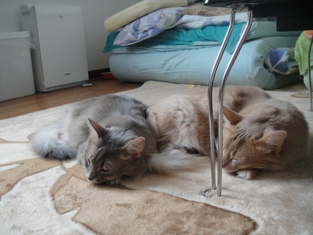 2011110701.jpg