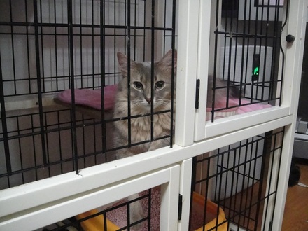 2011111401.jpg