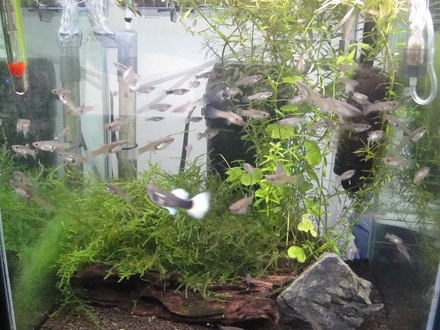 2011111402.jpg