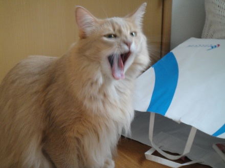 2011111900.jpg
