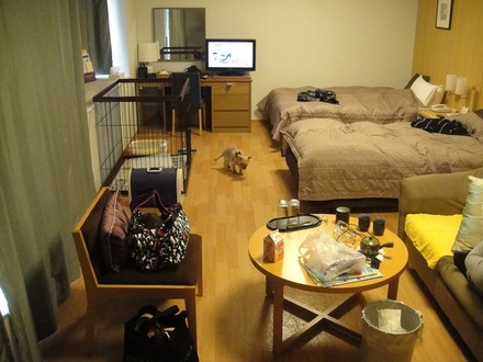 20111123.jpg