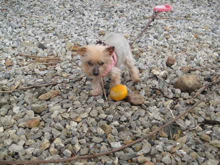 2011112301.jpg