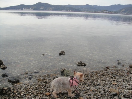 2011112302.jpg