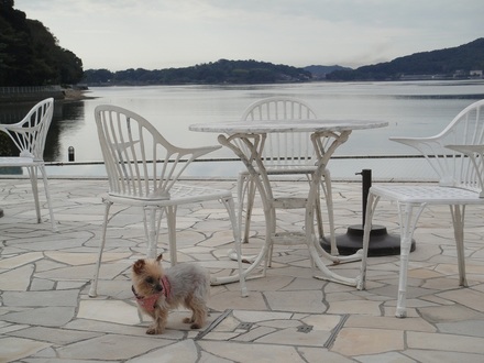 2011112305.jpg