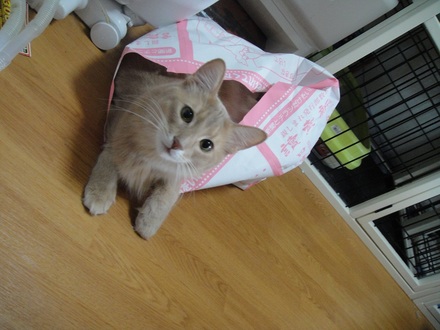 2011112600.jpg