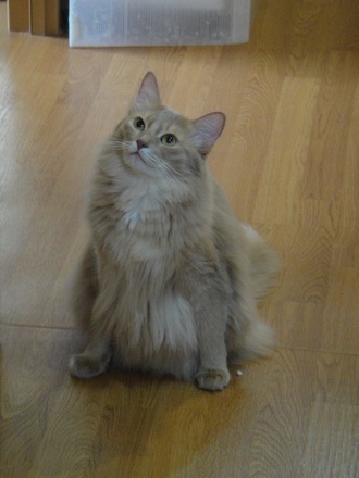 2011112700.jpg