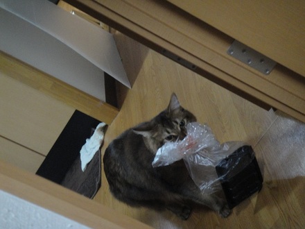 2011120200.jpg