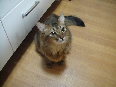 2011121101.jpg