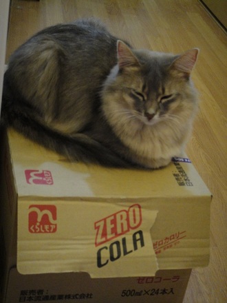 2011121600.jpg