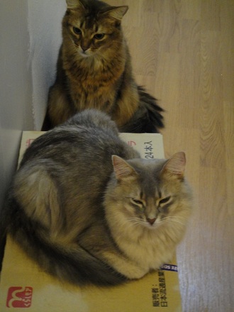 2011121601.jpg