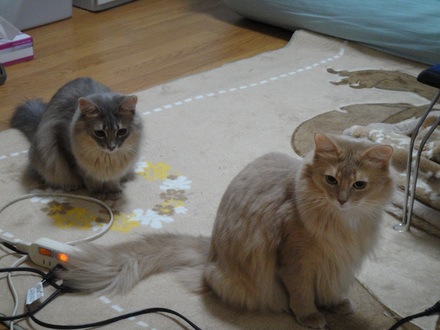 2011121800.jpg