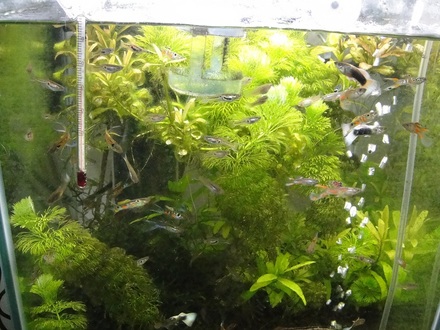 2011121900.jpg