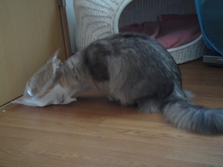 20111220.jpg