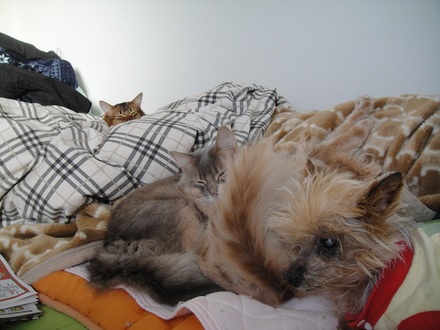 20111223.jpg