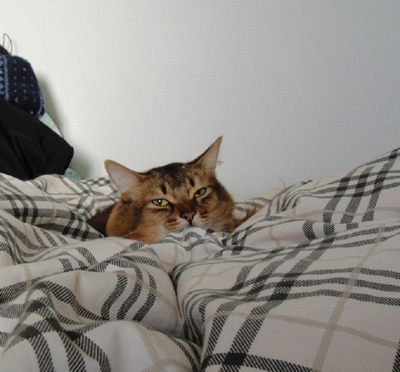 2011122302.jpg