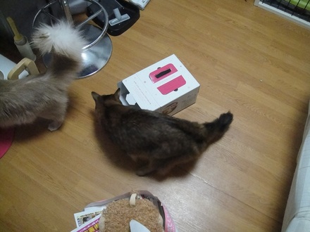 2011122500.jpg