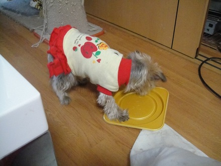 2011122501.jpg