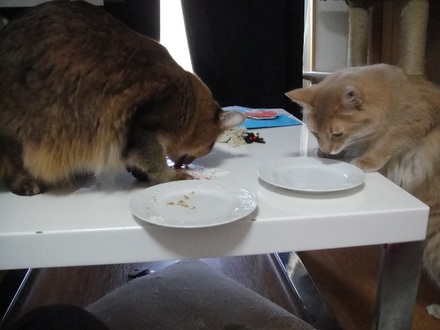 2011122502.jpg