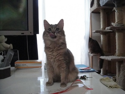 2011122504.jpg