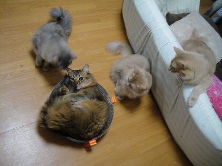 2011122800.jpg