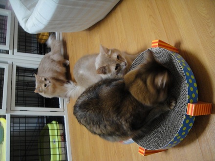 2011122802.jpg