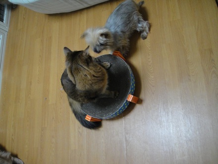2011122803.jpg