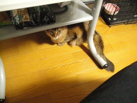 20120101.jpg