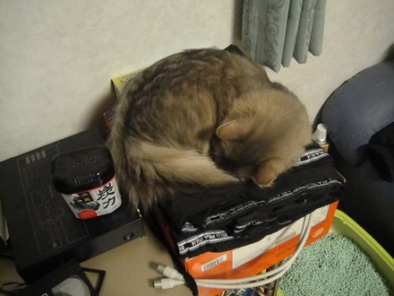 2012010101.jpg