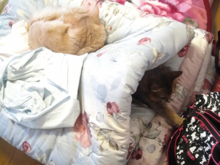 2012010104.jpg