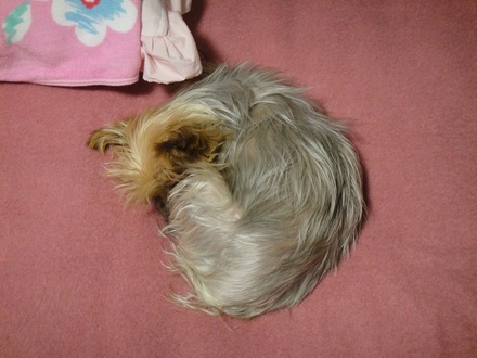 2012010105.jpg