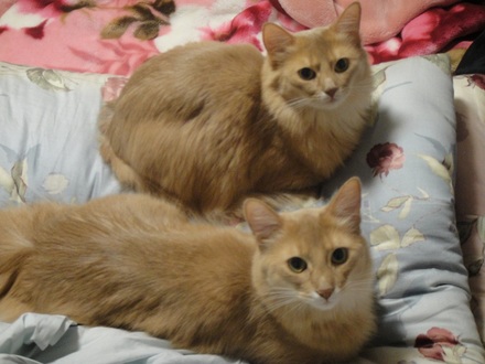 2012010106.jpg