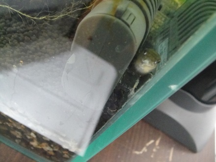 201201011100.jpg