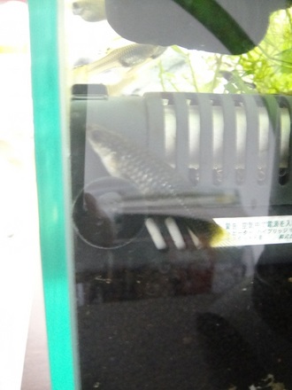 201201011101.jpg