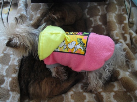 20120101400.jpg