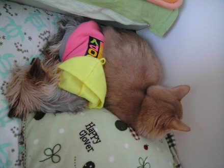 20120101401.jpg