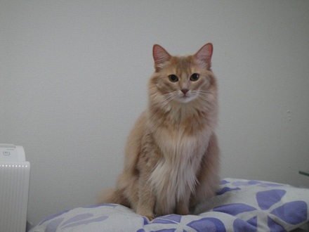 20120101500.jpg