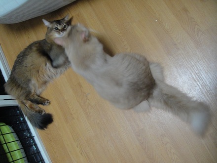 20120101800.jpg